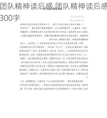 团队精神读后感,团队精神读后感300字-第3张图片-星梦范文网