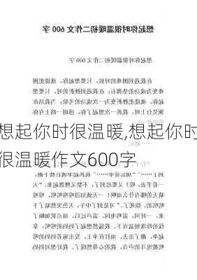 想起你时很温暖,想起你时很温暖作文600字-第2张图片-星梦范文网