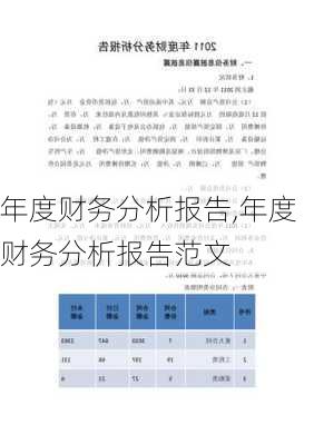 年度财务分析报告,年度财务分析报告范文