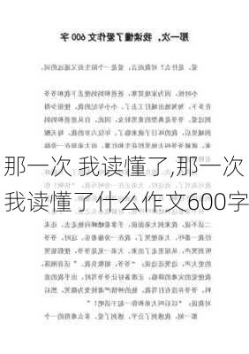 那一次 我读懂了,那一次我读懂了什么作文600字-第3张图片-星梦范文网