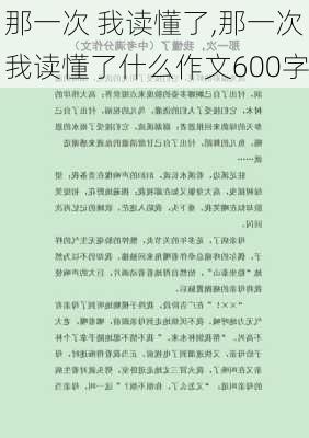 那一次 我读懂了,那一次我读懂了什么作文600字-第2张图片-星梦范文网