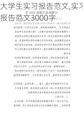 大学生实习报告范文,实习报告范文3000字-第3张图片-星梦范文网