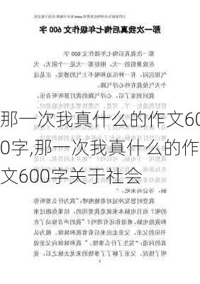 那一次我真什么的作文600字,那一次我真什么的作文600字关于社会-第2张图片-星梦范文网