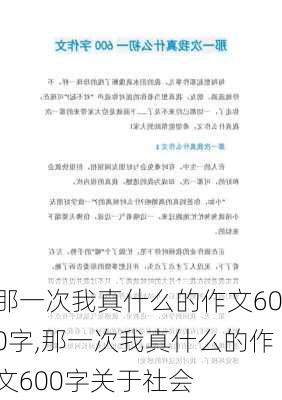 那一次我真什么的作文600字,那一次我真什么的作文600字关于社会-第1张图片-星梦范文网