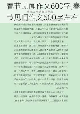 春节见闻作文600字,春节见闻作文600字左右-第2张图片-星梦范文网