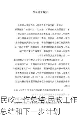 民政工作总结,民政工作总结和下一步计划