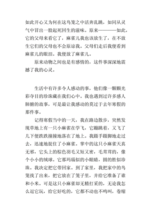 动物之间的感人故事,动物之间的感人故事作文