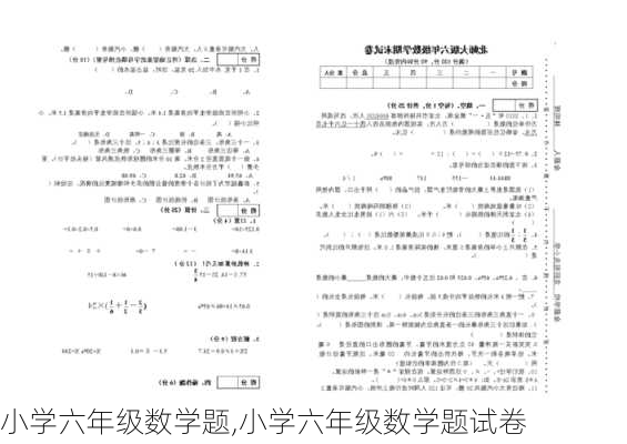 小学六年级数学题,小学六年级数学题试卷-第2张图片-星梦范文网