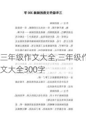 三年级作文大全,三年级作文大全300字-第2张图片-星梦范文网