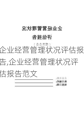 企业经营管理状况评估报告,企业经营管理状况评估报告范文-第1张图片-星梦范文网