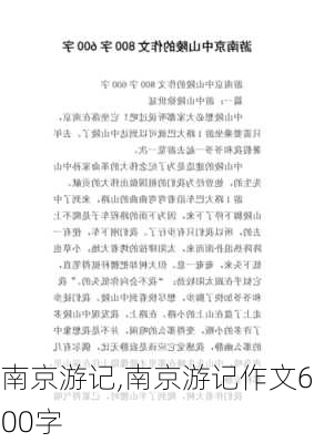 南京游记,南京游记作文600字-第1张图片-星梦范文网