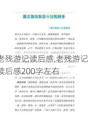 老残游记读后感,老残游记读后感200字左右