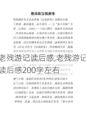 老残游记读后感,老残游记读后感200字左右-第2张图片-星梦范文网