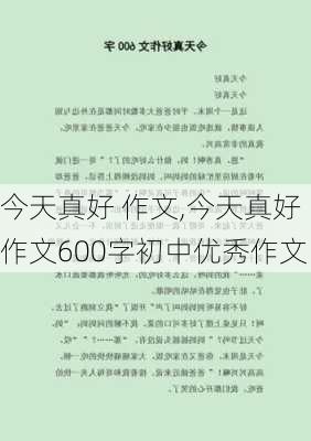 今天真好 作文,今天真好作文600字初中优秀作文