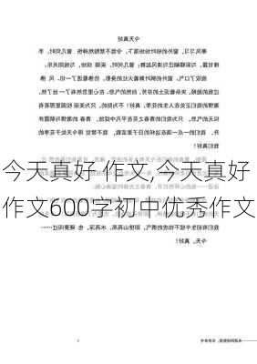 今天真好 作文,今天真好作文600字初中优秀作文-第2张图片-星梦范文网