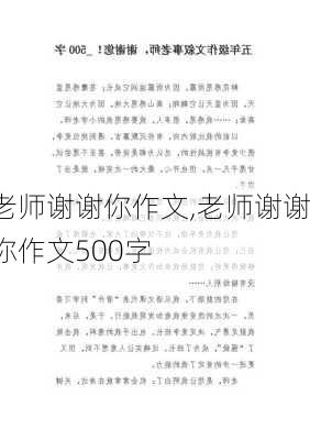 老师谢谢你作文,老师谢谢你作文500字-第2张图片-星梦范文网