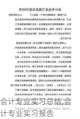 会计专业实习总结,会计专业实习报告