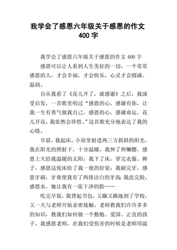 我学会了感恩,我学会了感恩的作文400字-第2张图片-星梦范文网