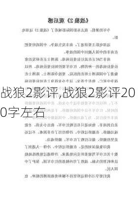 战狼2影评,战狼2影评200字左右-第2张图片-星梦范文网