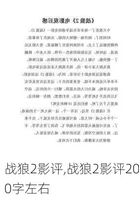 战狼2影评,战狼2影评200字左右-第3张图片-星梦范文网