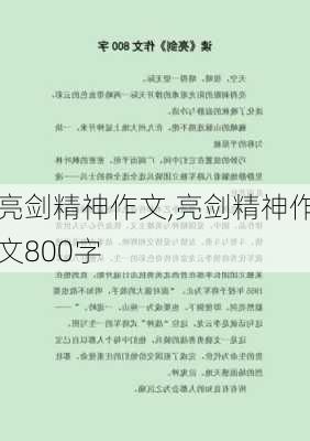 亮剑精神作文,亮剑精神作文800字-第1张图片-星梦范文网