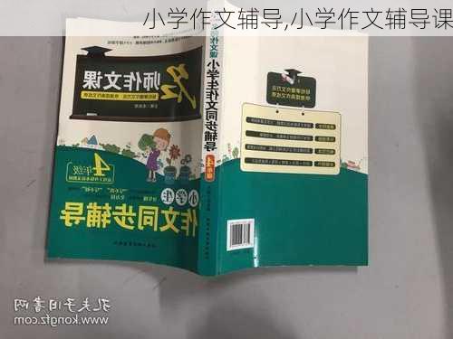 小学作文辅导,小学作文辅导课-第3张图片-星梦范文网