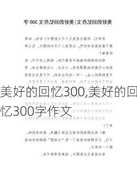 美好的回忆300,美好的回忆300字作文-第2张图片-星梦范文网