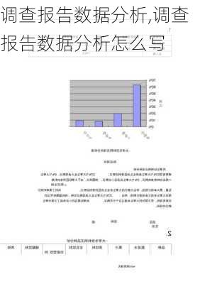 调查报告数据分析,调查报告数据分析怎么写-第2张图片-星梦范文网