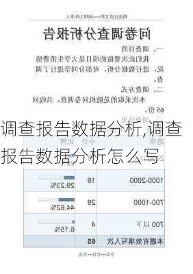 调查报告数据分析,调查报告数据分析怎么写