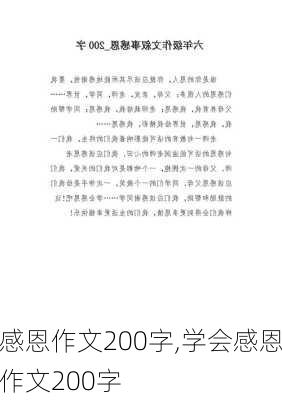 感恩作文200字,学会感恩作文200字-第2张图片-星梦范文网