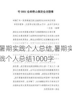 暑期实践个人总结,暑期实践个人总结1000字-第1张图片-星梦范文网