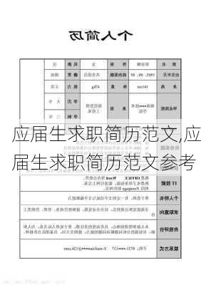 应届生求职简历范文,应届生求职简历范文参考-第2张图片-星梦范文网