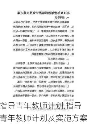 指导青年教师计划,指导青年教师计划及实施方案