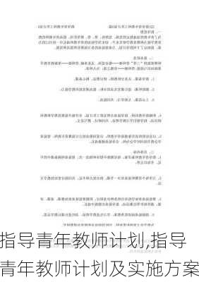 指导青年教师计划,指导青年教师计划及实施方案-第3张图片-星梦范文网