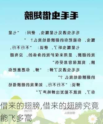 借来的翅膀,借来的翅膀究竟能飞多高-第3张图片-星梦范文网