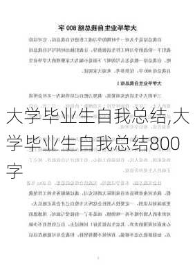 大学毕业生自我总结,大学毕业生自我总结800字-第1张图片-星梦范文网