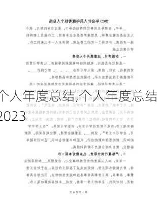 个人年度总结,个人年度总结2023-第2张图片-星梦范文网