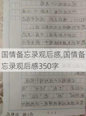 国情备忘录观后感,国情备忘录观后感350字-第2张图片-星梦范文网