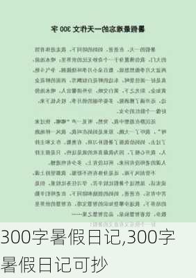 300字暑假日记,300字暑假日记可抄-第2张图片-星梦范文网