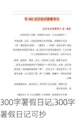 300字暑假日记,300字暑假日记可抄-第3张图片-星梦范文网