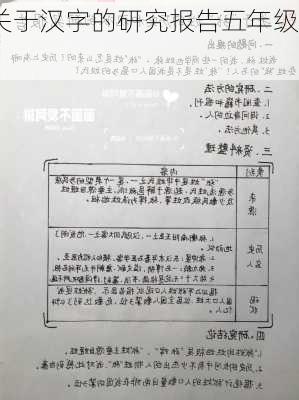 关于汉字的研究报告五年级,