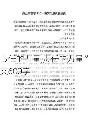 责任的力量,责任的力量作文600字-第1张图片-星梦范文网