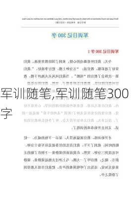 军训随笔,军训随笔300字-第3张图片-星梦范文网