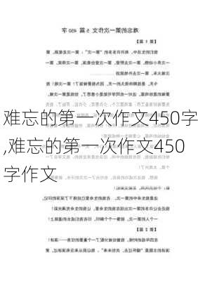 难忘的第一次作文450字,难忘的第一次作文450字作文-第2张图片-星梦范文网