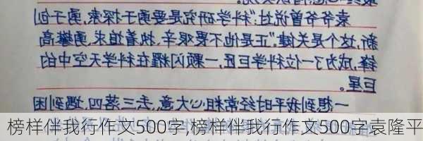 榜样伴我行作文500字,榜样伴我行作文500字袁隆平-第2张图片-星梦范文网