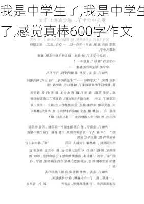 我是中学生了,我是中学生了,感觉真棒600字作文