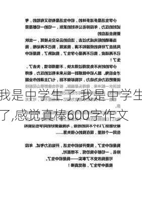 我是中学生了,我是中学生了,感觉真棒600字作文-第2张图片-星梦范文网