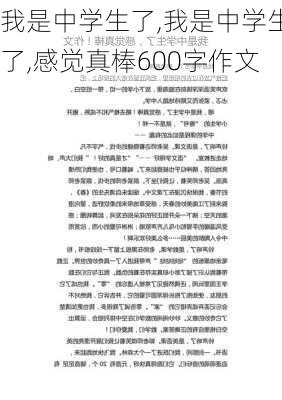 我是中学生了,我是中学生了,感觉真棒600字作文-第3张图片-星梦范文网