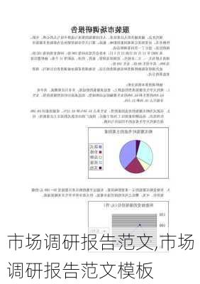 市场调研报告范文,市场调研报告范文模板