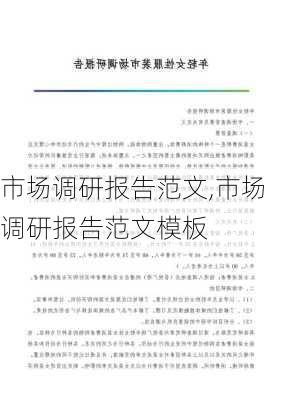 市场调研报告范文,市场调研报告范文模板-第3张图片-星梦范文网